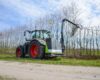 Greentec Scorpion mit Astsäge beim Äste schneiden