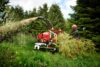 Holz wird in TP Holzhäcksler geschoben