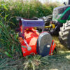 DRAGONE Mulcher im Sudangras