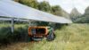 Mulchraupe MDB LV250 PRO mäht unter Solaranlage