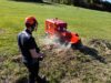 Baumstumpf mit Stubbenfräse FSI D60 entfernen