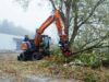 Bagger mit Fällgreifer legt Bäume ab