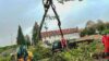 Dienstleister Luis Lenz fällt Baum