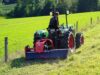 DRAGONE Schlegelmulcher MTL FE mulcht Wiese
