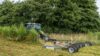 Rotormulcher GREENTEC Tiger mulcht Gestrüpp