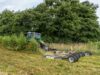 Rotormulcher GREENTEC Tiger mulcht Gestrüpp