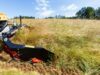 Doppelmesser Dron-Mähwerk für MOX Geräteträger
